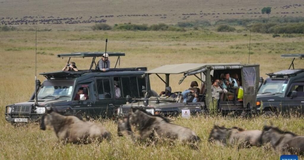 Safari Isiyokosika: Uhamaji wa Nyumbu Wavutia Watalii Duniani Katika Hifadhi ya Kitaifa ya Masai Mara, Kenya 2025