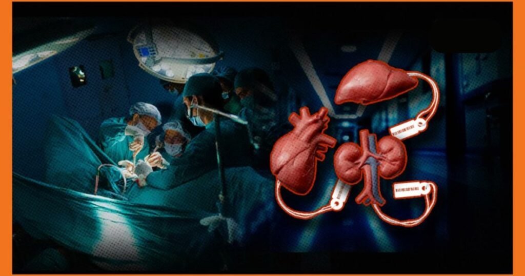 “Tulilipwa Sh50,000”: Wakenya Wafichua Ulaghai wa Usafirishaji Haramu wa Figo kwa Wabunge