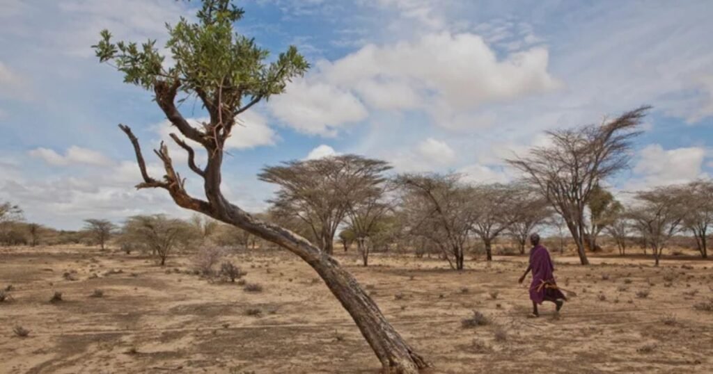 Baada ya Baridi Kali, Wakenya Wameonywa Kuhusu Msimu Mrefu wa Ukame Ulioko Mbele