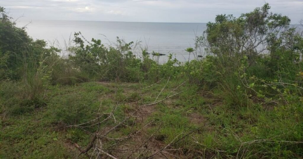 Kiwanja Kinauzwa Bagamoyo, Kaole Magambani – Fursa ya Uwekezaji Karibu na Bahari