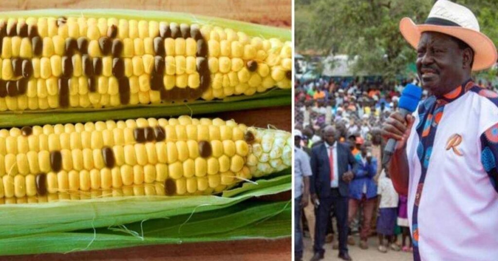 Raila Odinga: Daktari Afichua Sababu Halisi za Kifo Chake
