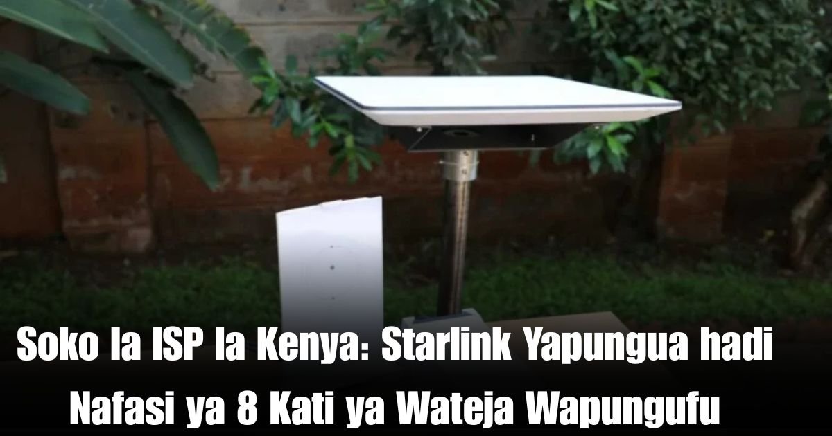 Soko la ISP la Kenya: Starlink Yapungua hadi Nafasi ya 8 Kati ya Wateja Wapungufu