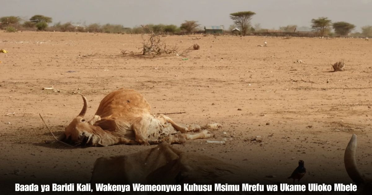 Baada ya Baridi Kali, Wakenya Wameonywa Kuhusu Msimu Mrefu wa Ukame Ulioko Mbele