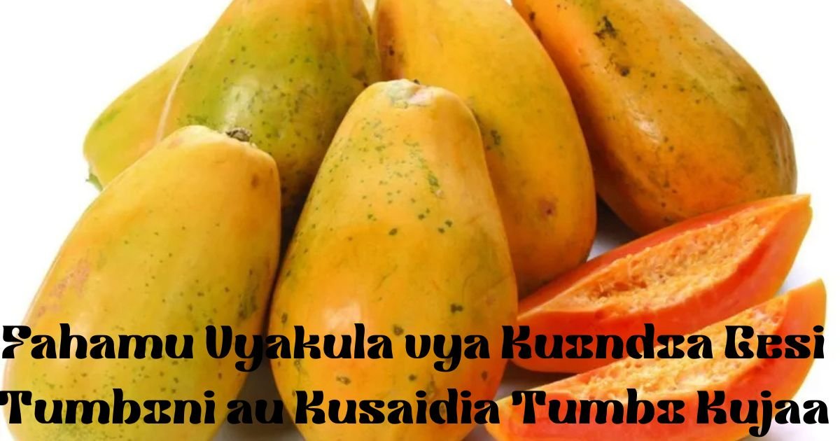Fahamu Vyakula vya Kuondoa Gesi Tumboni au Kusaidia Tumbo Kujaa