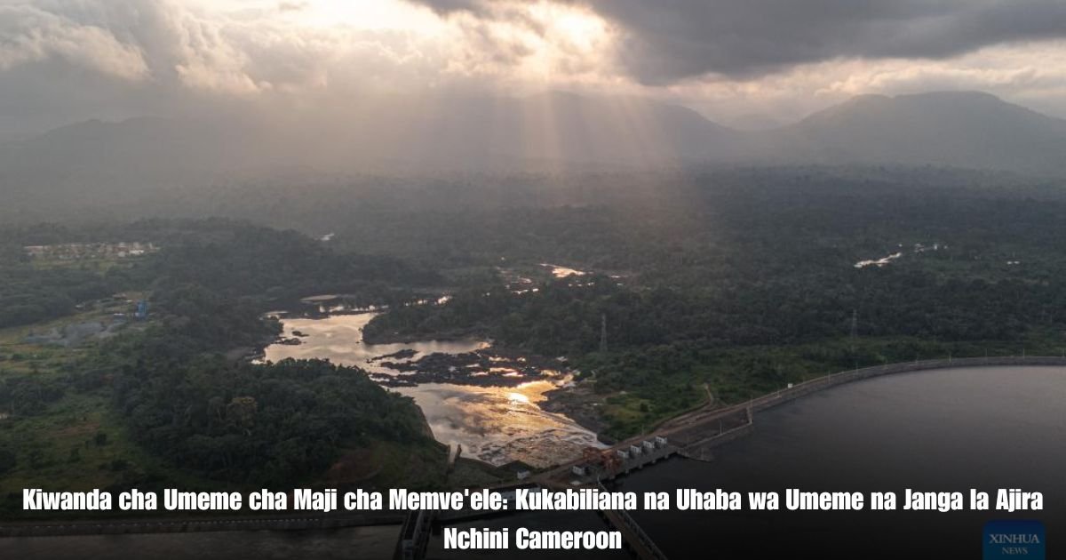 Kiwanda cha Umeme cha Maji cha Memve'ele: Kukabiliana na Uhaba wa Umeme na Janga la Ajira Nchini Cameroon