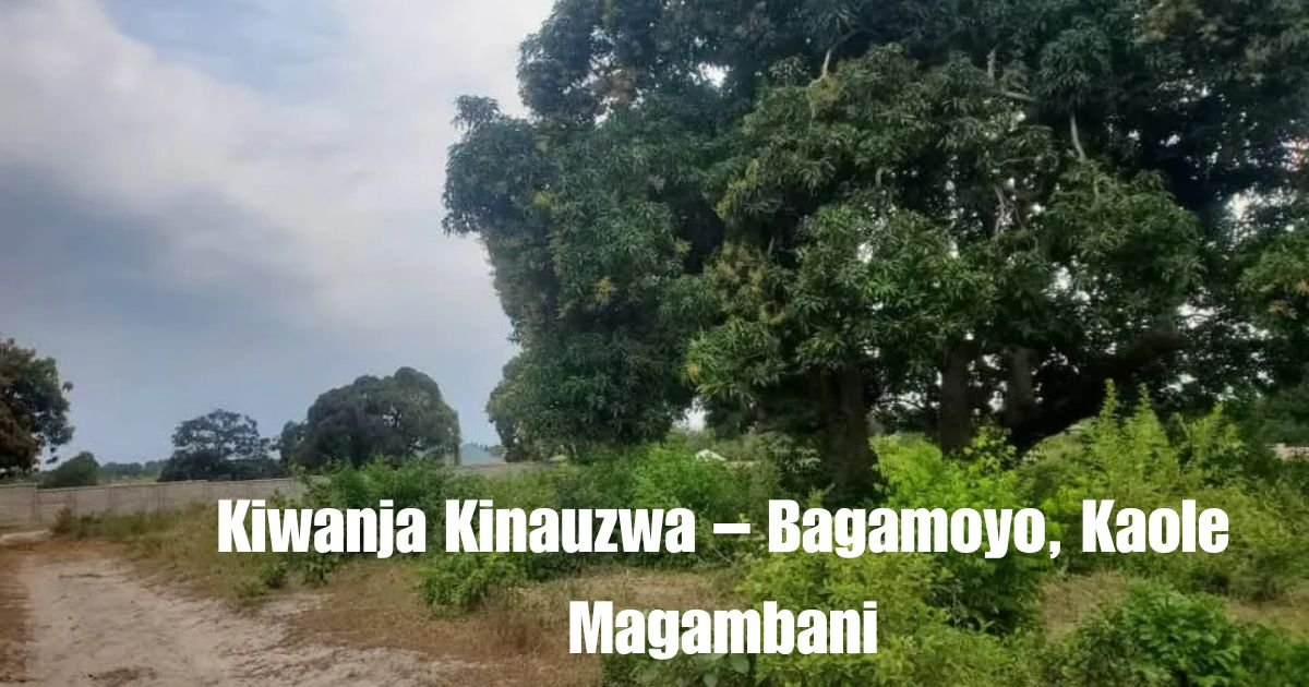 Kiwanja Kinauzwa – Bagamoyo, Kaole Magambani