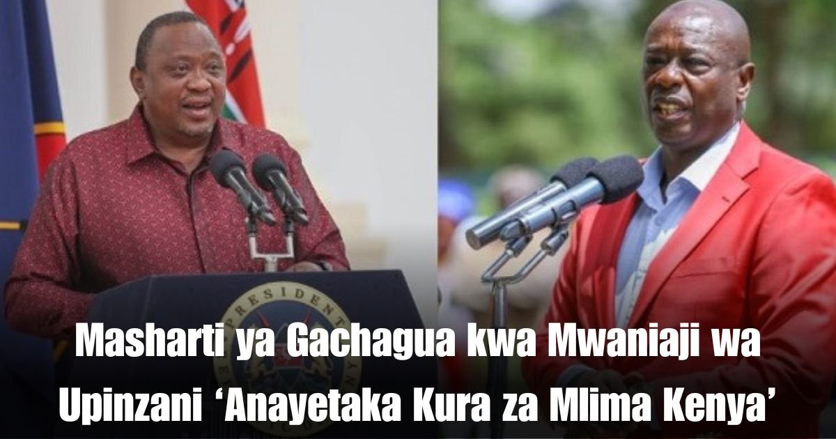 Masharti ya Gachagua kwa Mwaniaji wa Upinzani ‘Anayetaka Kura za Mlima Kenya’