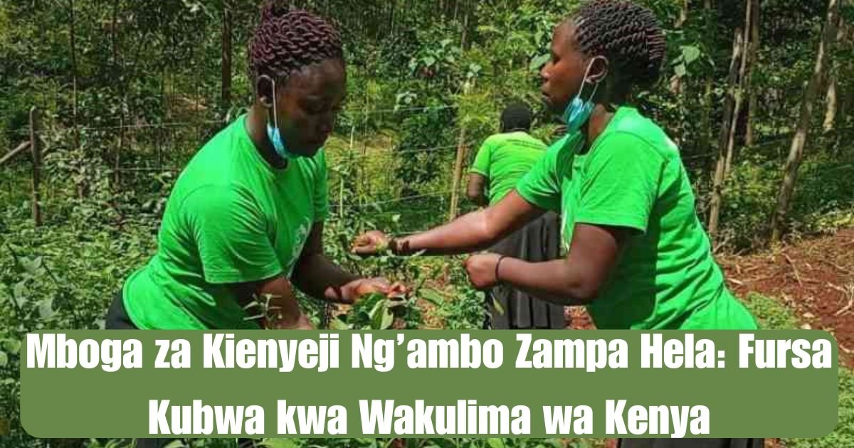 Mboga za Kienyeji Ng’ambo Zampa Hela: Fursa Kubwa kwa Wakulima wa Kenya