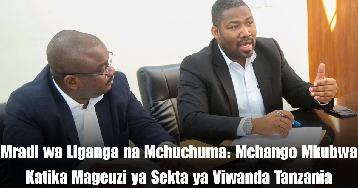 Mradi wa Liganga na Mchuchuma: Mchango Mkubwa Katika Mageuzi ya Sekta ya Viwanda Tanzania