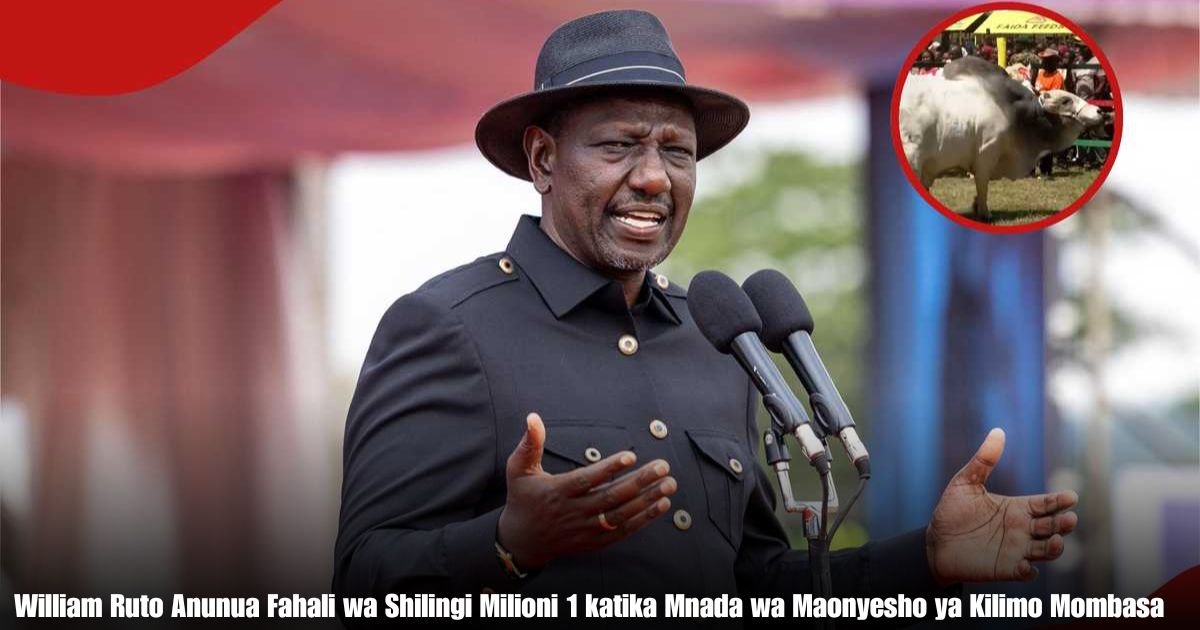 William Ruto Anunua Fahali wa Shilingi Milioni 1 katika Mnada wa Maonyesho ya Kilimo Mombasa