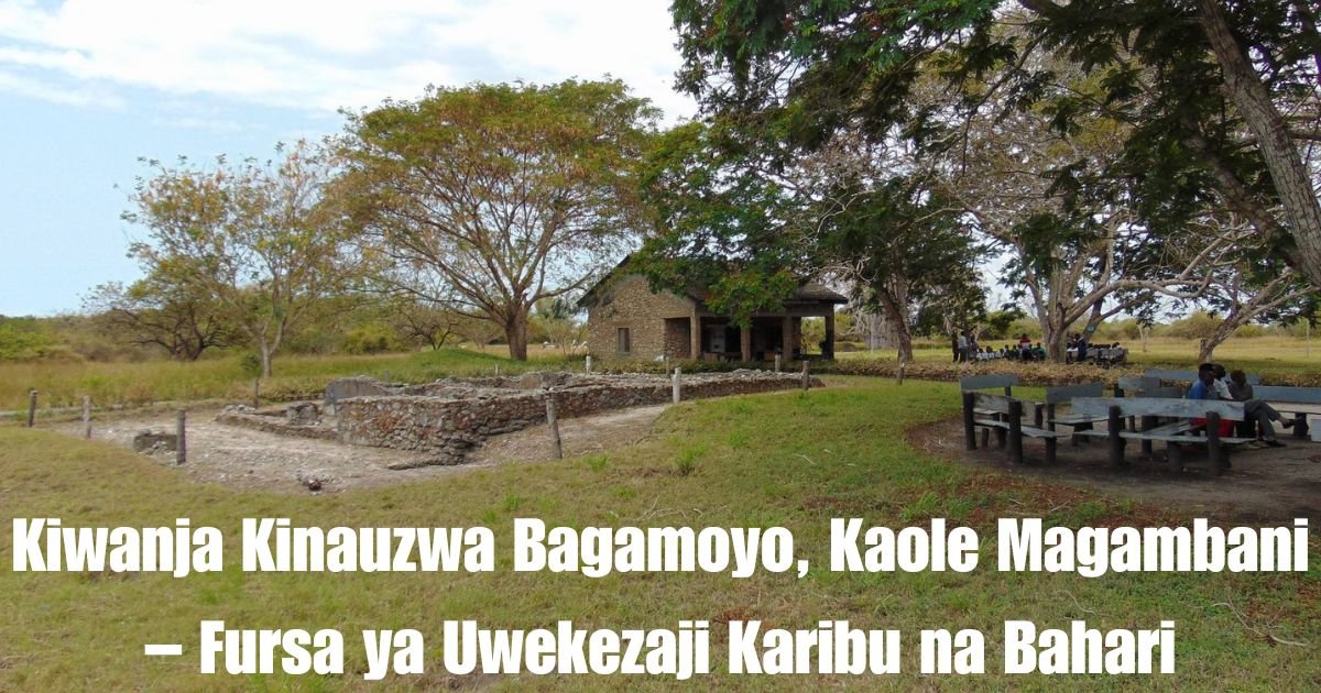 Kiwanja Kinauzwa Bagamoyo, Kaole Magambani – Fursa ya Uwekezaji Karibu na Bahari