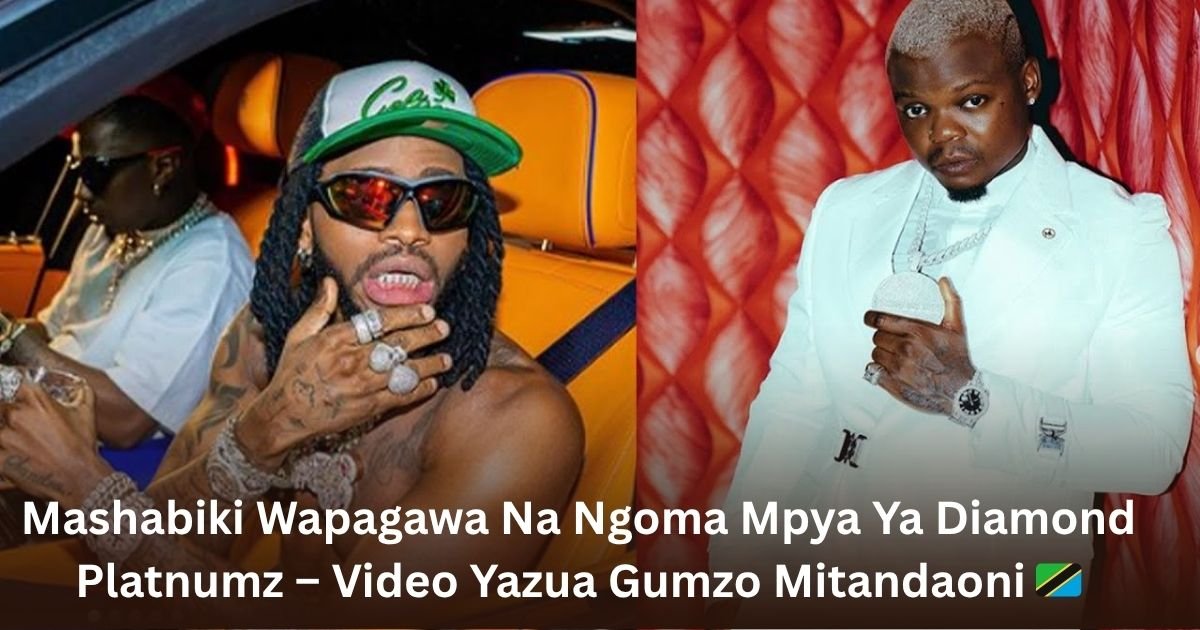 Mashabiki Wapagawa Na Ngoma Mpya Ya Diamond Platnumz – Video Yazua Gumzo Mitandaoni 🇹🇿