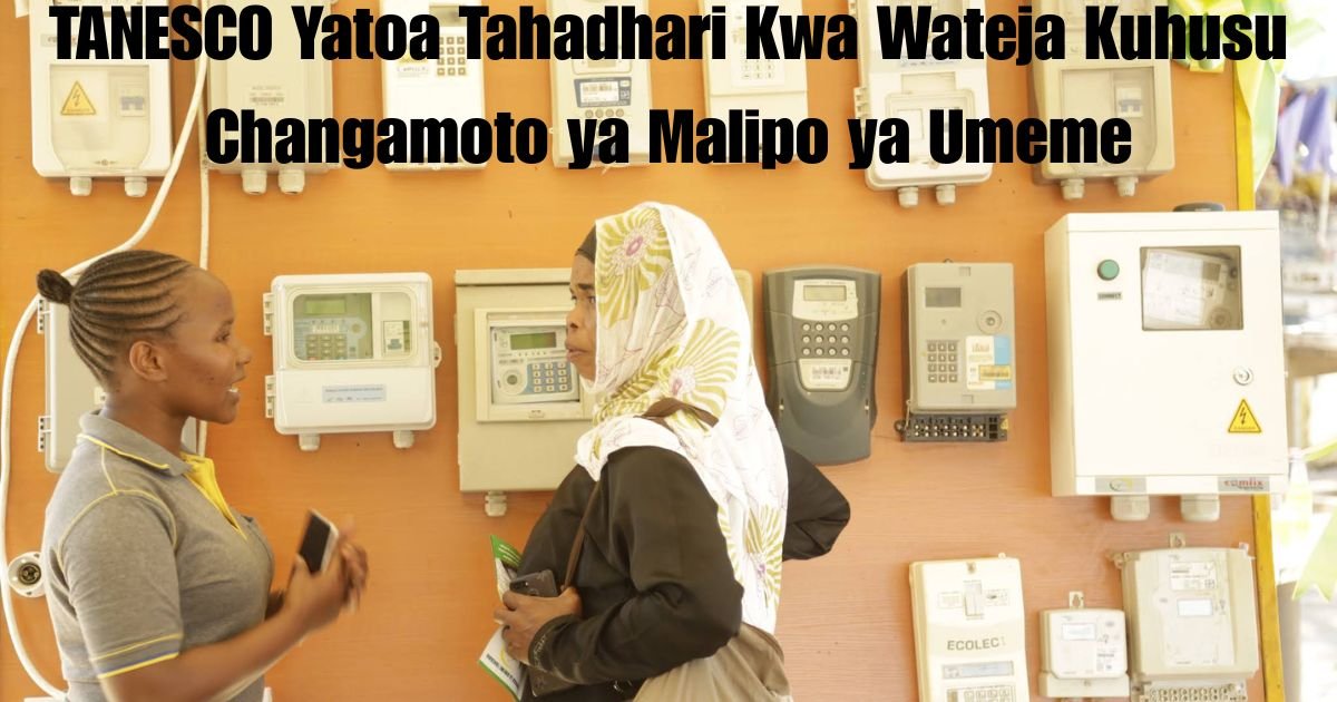 TANESCO Yatoa Tahadhari Kwa Wateja Kuhusu Changamoto ya Malipo ya Umeme