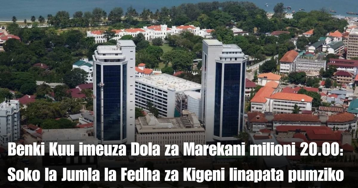 Benki Kuu imeuza Dola za Marekani milioni 20.00: Soko la Jumla la Fedha za Kigeni linapata pumziko