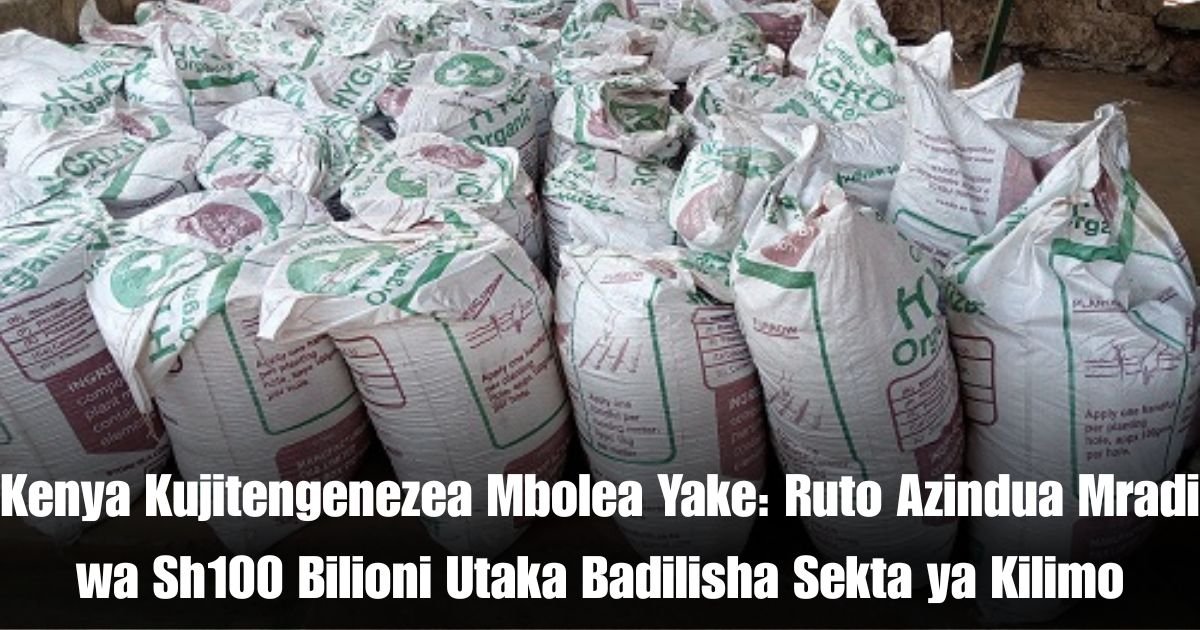 Kenya Kujitengenezea Mbolea Yake: Ruto Azindua Mradi wa Sh100 Bilioni Utaka Badilisha Sekta ya Kilimo