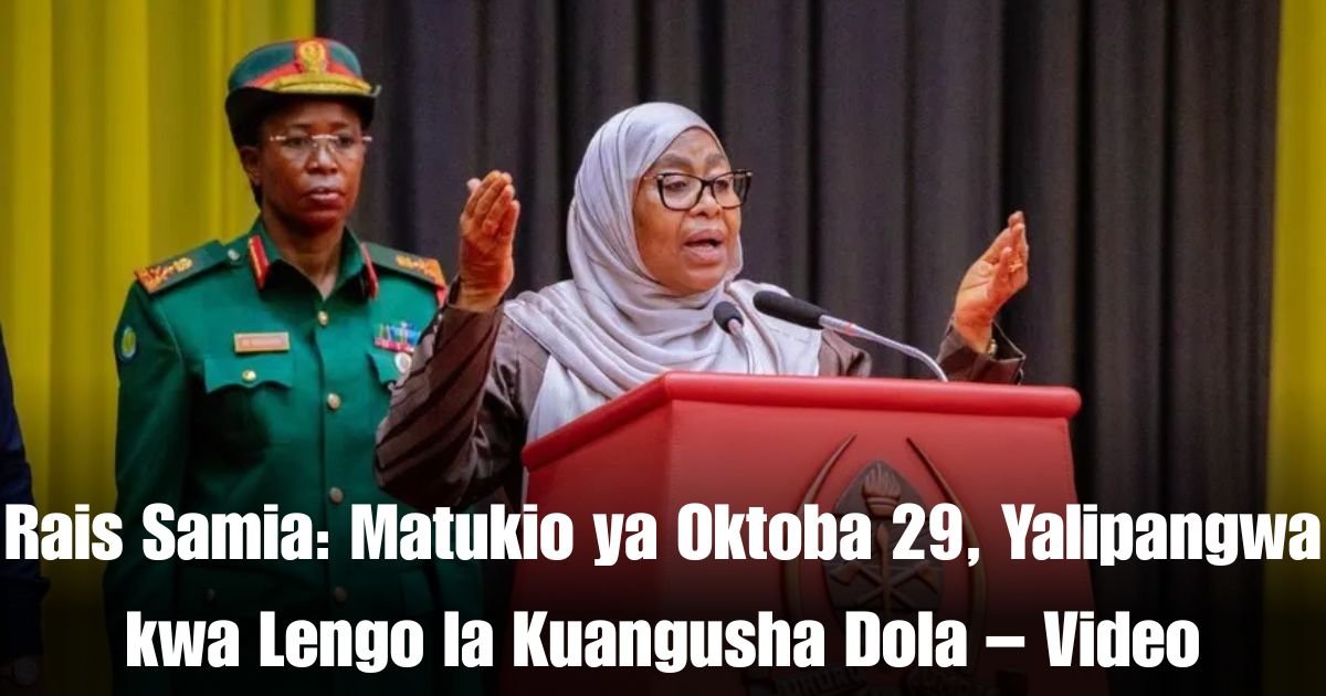 Rais Samia: Matukio ya Oktoba 29, Yalipangwa kwa Lengo la Kuangusha Dola – Video
