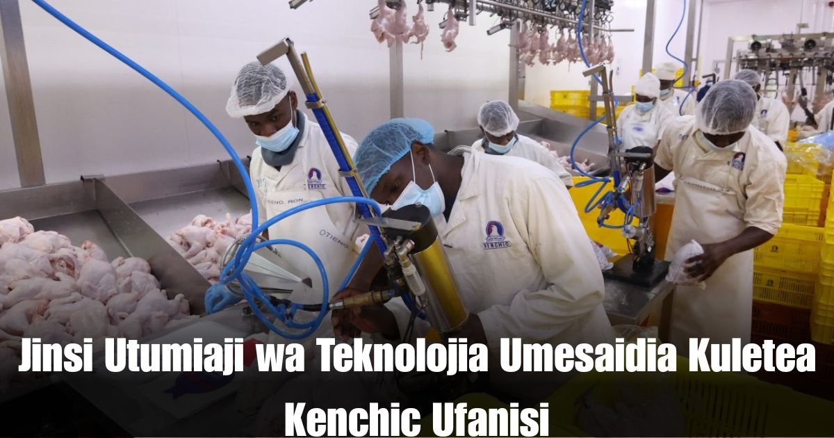 Jinsi Utumiaji wa Teknolojia Umesaidia Kuletea Kenchic Ufanisi