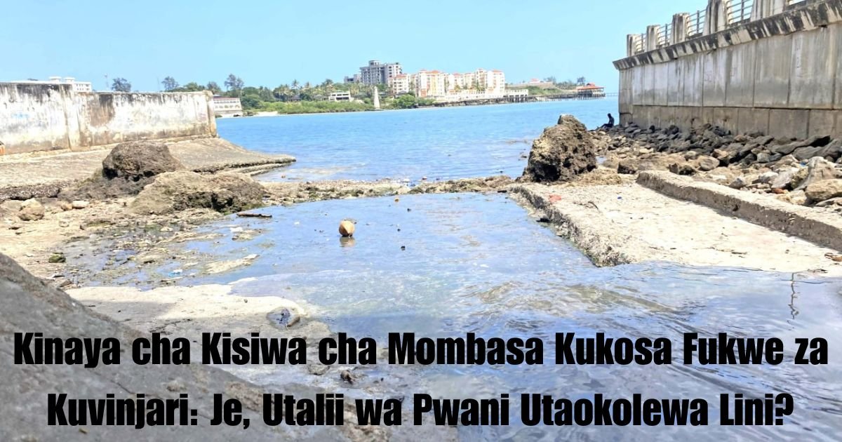 Kinaya cha Kisiwa cha Mombasa Kukosa Fukwe za Kuvinjari: Je, Utalii wa Pwani Utaokolewa Lini?