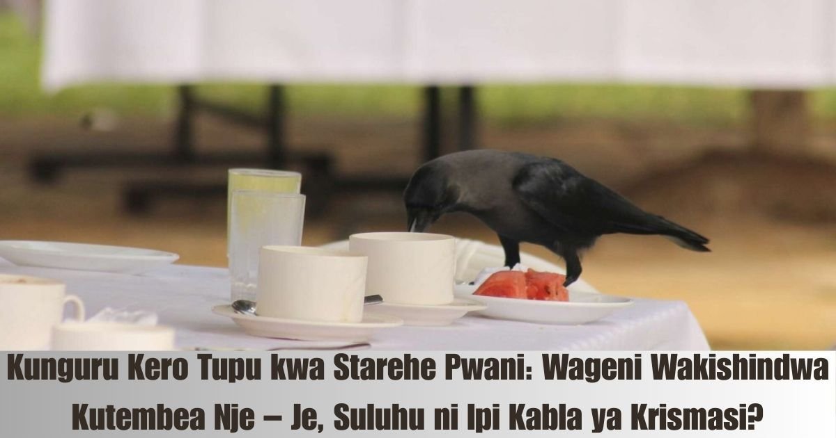 Kunguru Kero Tupu kwa Starehe Pwani: Wageni Wakishindwa Kutembea Nje – Je, Suluhu ni Ipi Kabla ya Krismasi?