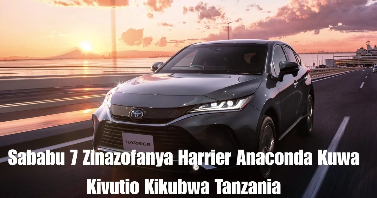 Sababu 7 Zinazofanya Harrier Anaconda Kuwa Kivutio Kikubwa Tanzania