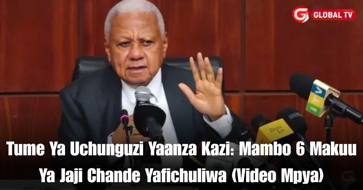 Tume Ya Uchunguzi Yaanza Kazi: Mambo 6 Makuu Ya Jaji Chande Yafichuliwa (Video Mpya)