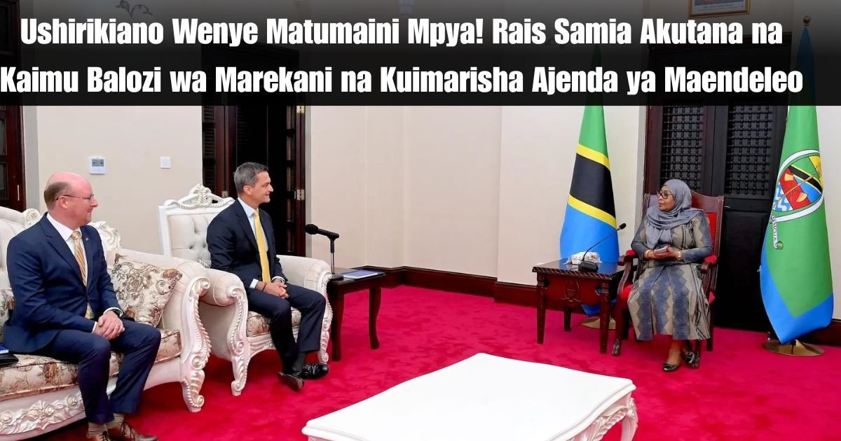 Ushirikiano Wenye Matumaini Mpya! Rais Samia Akutana na Kaimu Balozi wa Marekani na Kuimarisha Ajenda ya Maendeleo